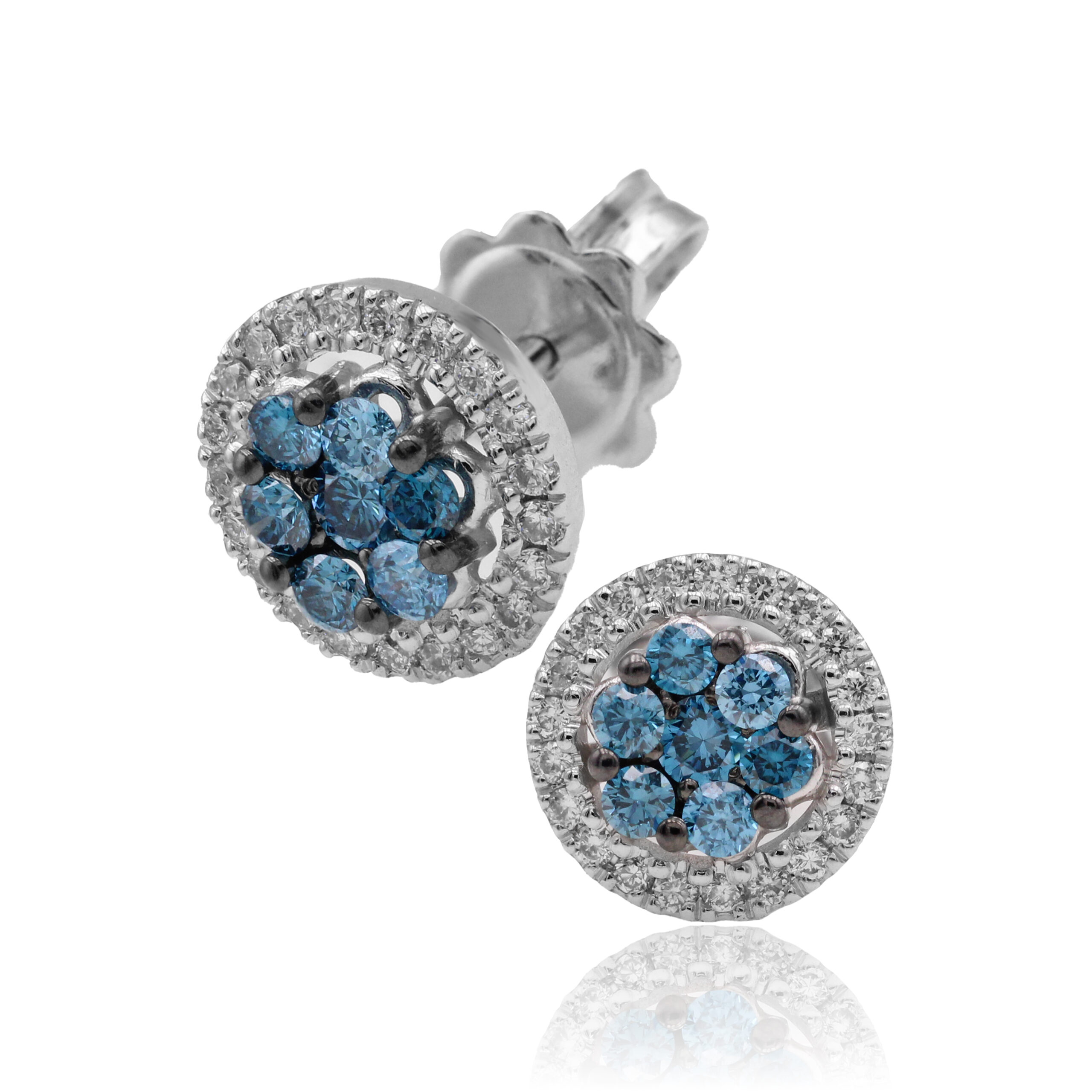 ORF-0557-BLUE_1.jpg