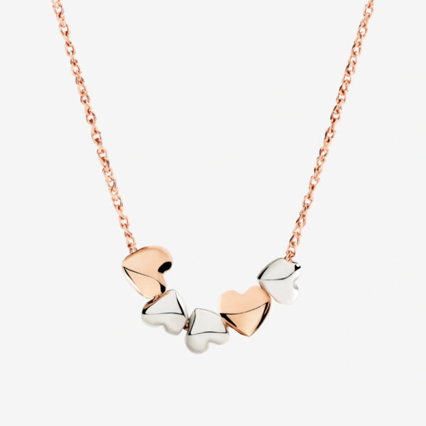 DCC5000-HEART-0009A_2.jpg