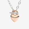 DCC5001-HEART-0009A_3.jpg