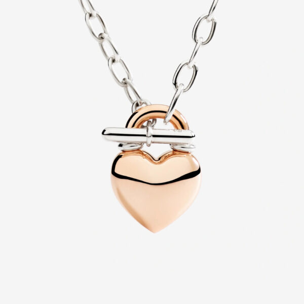 DCC5001-HEART-0009A_3.jpg