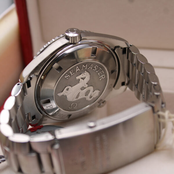 22005100-81815**_12.jpg