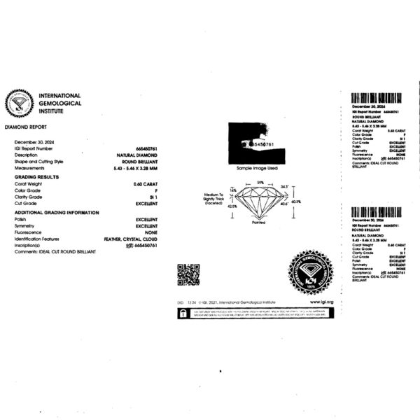 IGI-0,60-F-SI1-Ex-EX-EX-NN-665450761_3.jpg