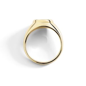 DAC5000 SIGNE DB09G_4.jpg