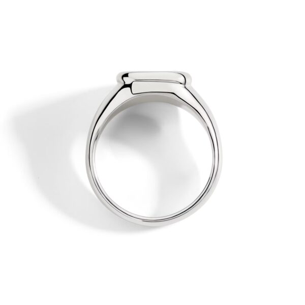 DAC5001 SIGNE DB09AG_3.jpg