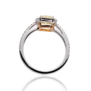 GIA FCY VS2 170_11.jpg