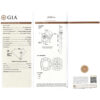 GIA FCY VS2 170_8.jpg