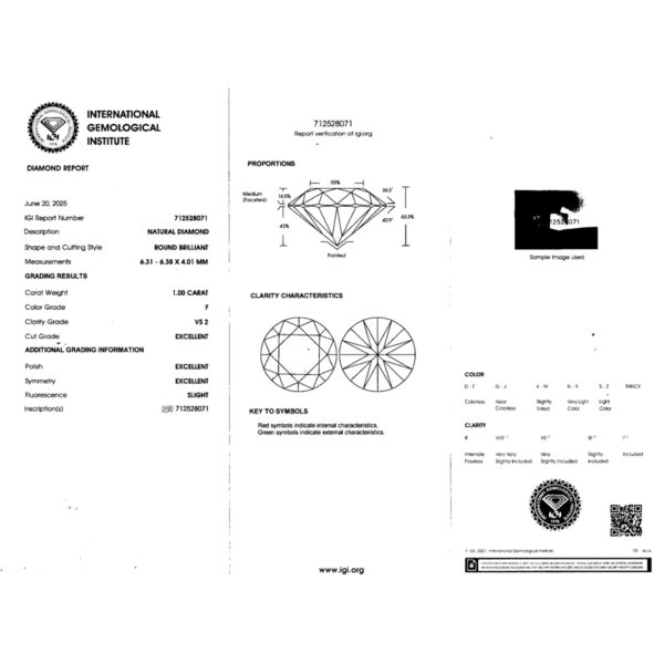 IGI-F-Vs2-1.00-ExExEx-712528071_5.jpg