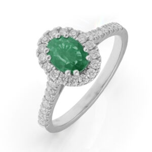 3549 7x5 Zambia._1.jpg