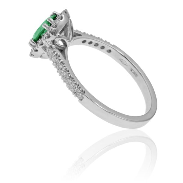 3549 7x5 Zambia._2.jpg