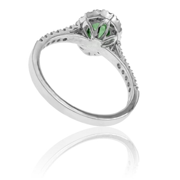 3549 7x5 Zambia._3.jpg