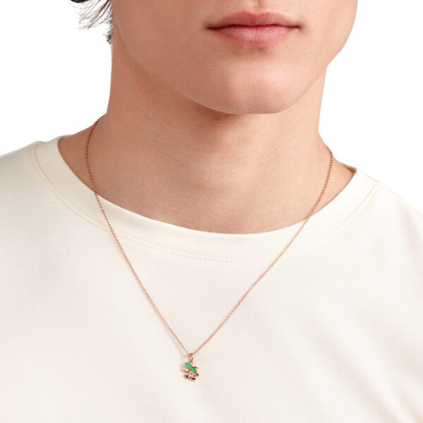 DMC5004 RONDE VI0AG_2.jpg