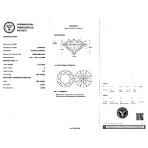 IGI H Si2 1.18_3.jpg