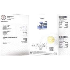 IGI G Si1 0.41._5.jpg