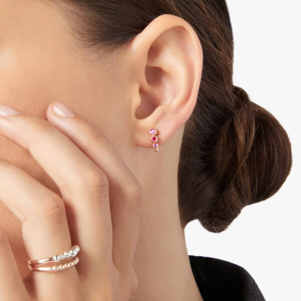 DHC3005 BOLLI ZRI9R_2.jpg