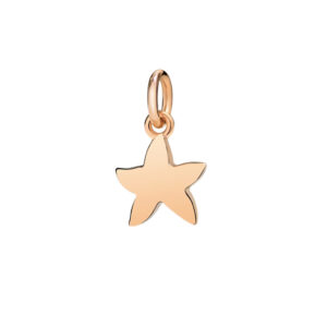 DMB4027 STARS 0009R_1.jpg