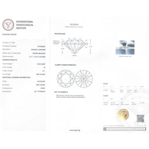 IGI G Si1 Ct.1.00 - 747550660_6.jpg