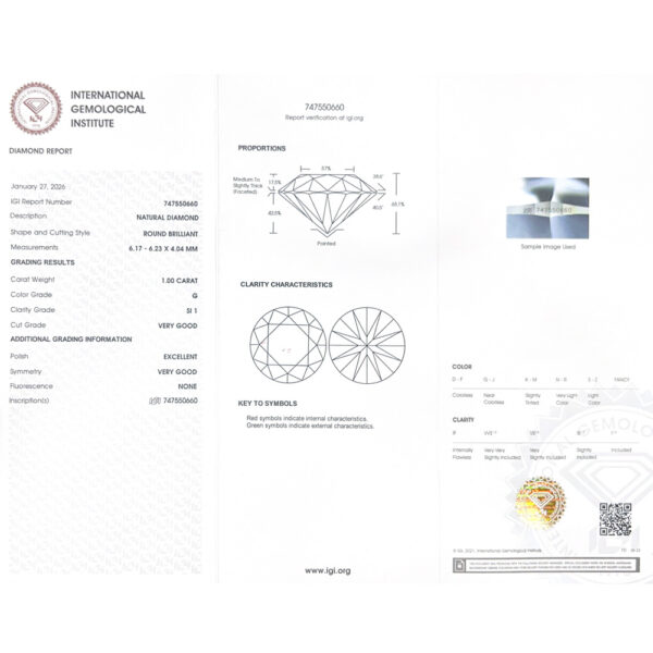 IGI G Si1 Ct.1.00 - 747550660_6.jpg