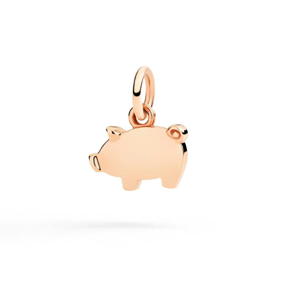 DMC6001 PIGLE 0009R_1.jpg