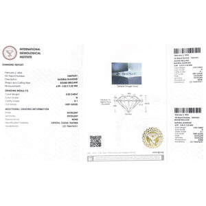 IGI G Si1 Ct. 1.00-NS05261729_4.jpg