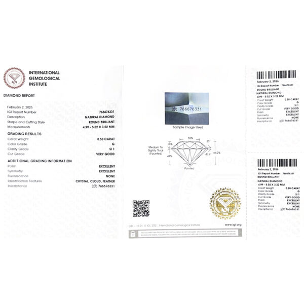 IGI G Si1 Ct. 1.00-NS05261729_4.jpg