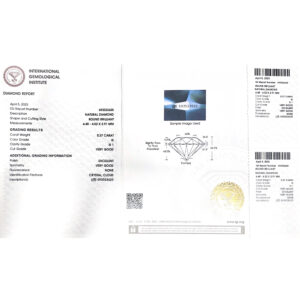 ATF-0157- IGI G Si1 Ct.1.05-NS05262148_7.jpg