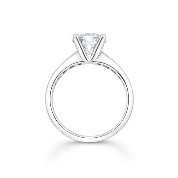 HRD F Vs2 Ct. 2.56_4.jpg