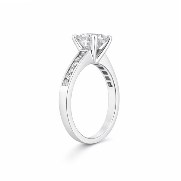 HRD F Vs2 Ct. 2.56_6.jpg