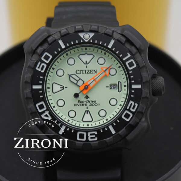 BN0227-25X_1.jpg