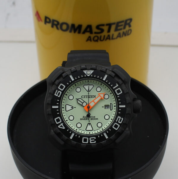BN0227-25X_4.jpg