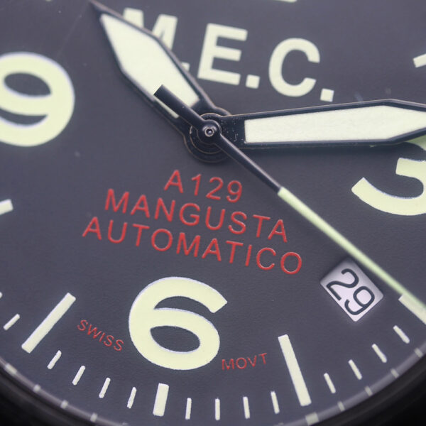 mangusta_4.jpg